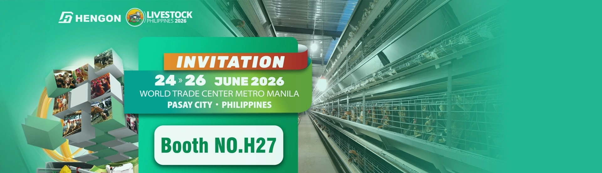 Layer and Brooder Cages