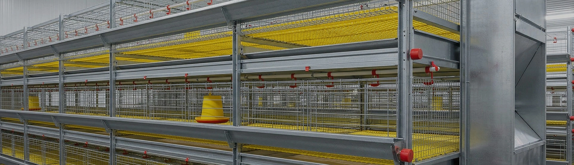 Broiler Cages