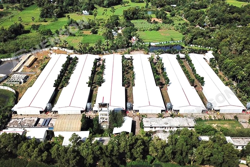 Bangladesh-Chicken House