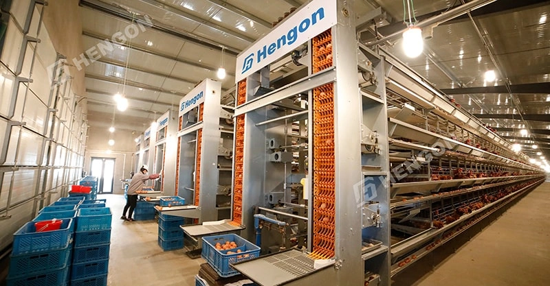 HENGON Shines at Livestock Philippines 2025: Exhibition Highlights & Client Visits