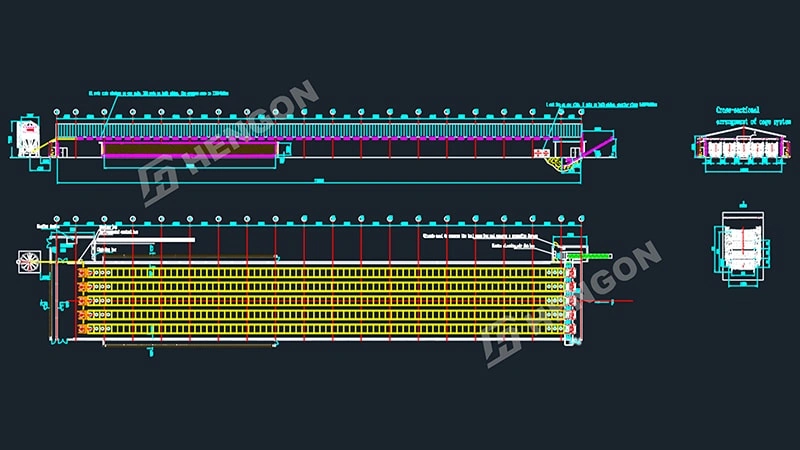 Philippine Broiler in cages