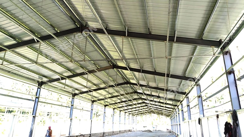 Philippine Broiler in cages