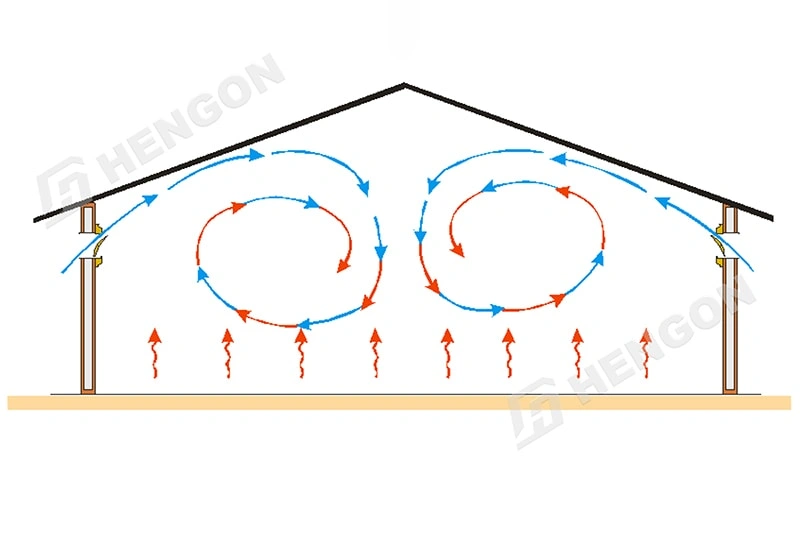 Five Key Factors for Building a Modern, Efficient Poultry House