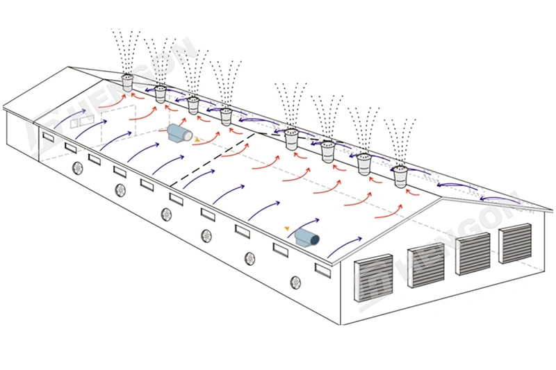 Five Key Factors for Building a Modern, Efficient Poultry House