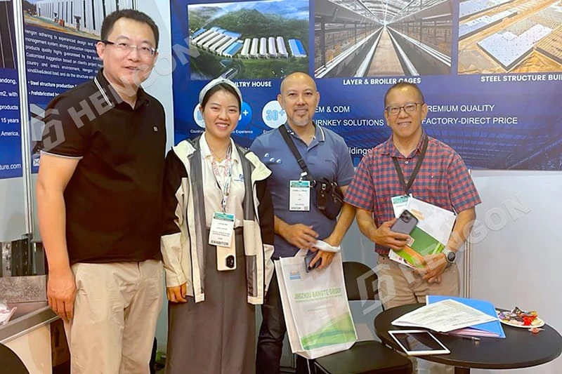 Philippines - Layer Chicken Cages