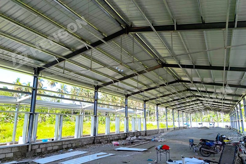 Philippines - Layer Chicken Cages