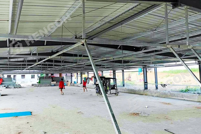 Philippines - Broiler on ground