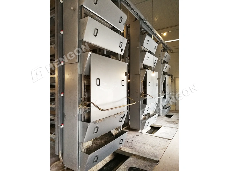 Manure removal system