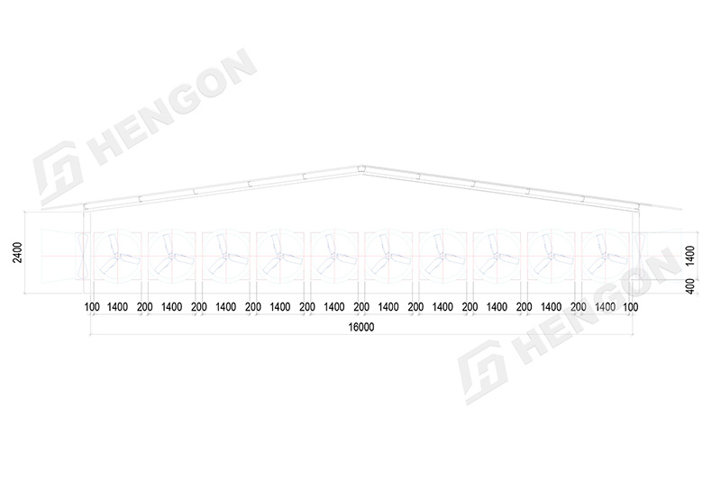 Senegal - Broiler on ground