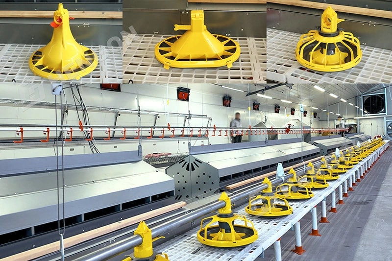 Broiler Farming Equipment for Modern Meat Chicken Shelter Broiler Farming Equipment for Modern Meat Chicken Shelter