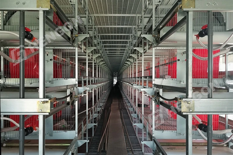Smart Broiler Farming Equipment for Better Chicken Growth Smart Broiler Farming Equipment for Better Chicken Growth