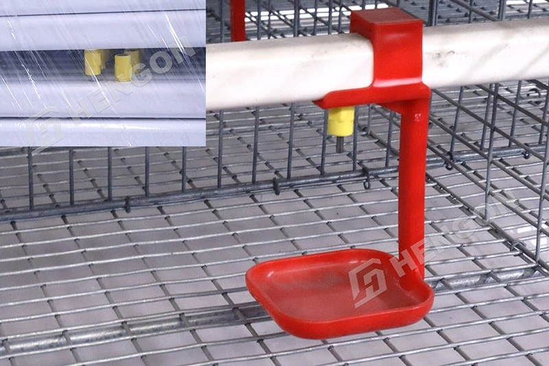Smart Broiler Farming Equipment for Better Chicken Growth Smart Broiler Farming Equipment for Better Chicken Growth