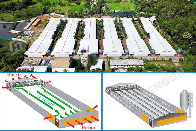 How Can I Start a Poultry Farm Step by Step How Can I Start a Poultry Farm Step by Step