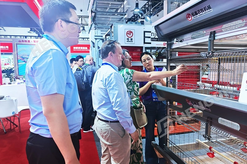 Inside CAHE 2026: What Global Poultry Farm Buyers Really Care About Inside CAHE 2026: What Global Poultry Farm Buyers Really Care About