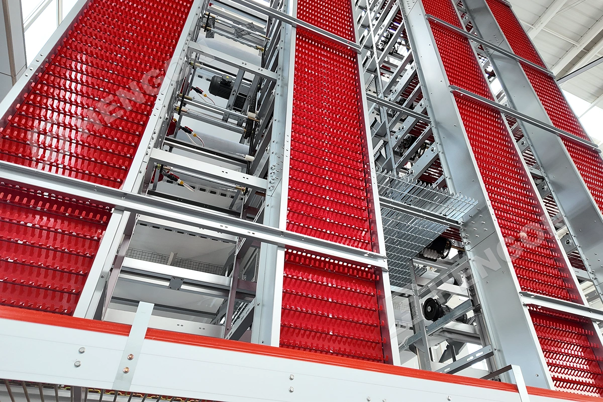 automatic egg collectors.webp