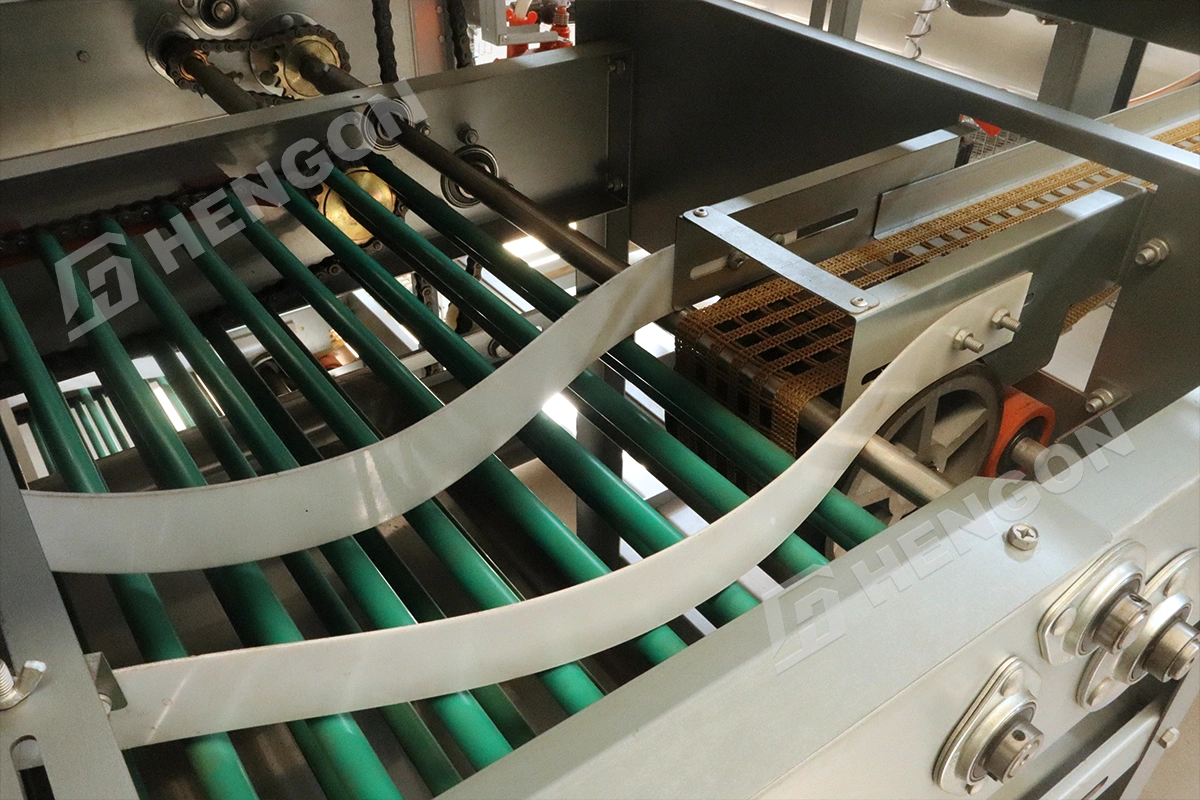 automatic egg collectors.webp