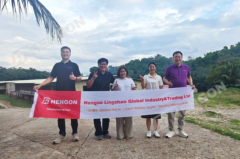 Why Philippine Farms Switch from Floor to Cage Raising Why Philippine Farms Switch from Floor to Cage Raising