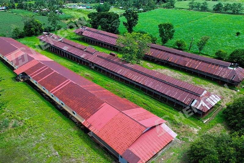 Old Poultry House Renovation Project in Philippines