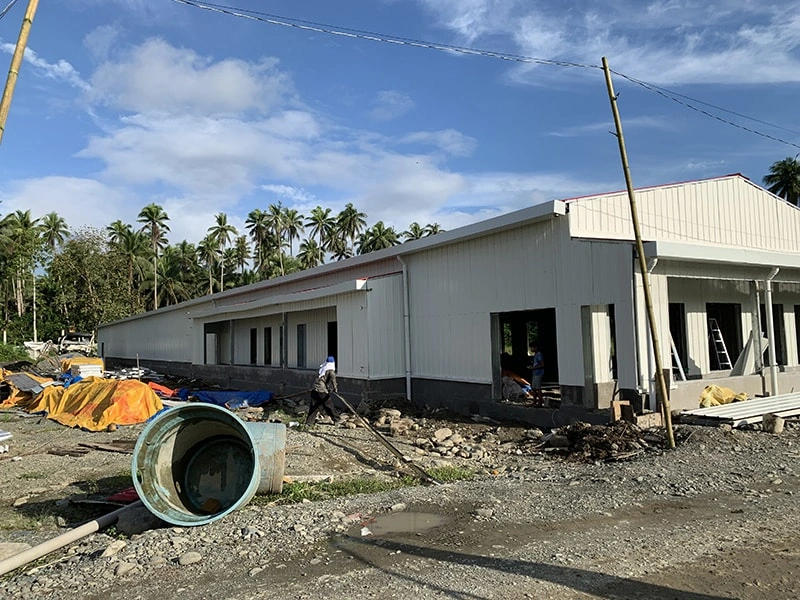 Philippines -  Broiler on ground
